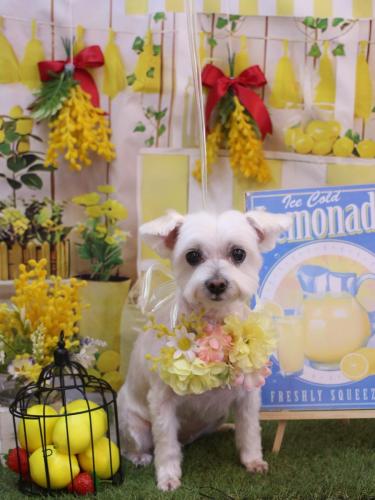 20240420ヒメちゃん